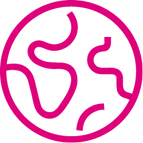 we buy in any condition